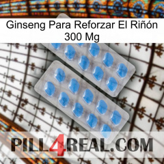 Ginseng Para Reforzar El Riñón 300 Mg 23